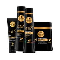 Kit Haskell Cavalo Forte Shampoo Cond Masc Leave In 500ml Kit Haskell Cavalo Forte Shampoo Cond Masc Leave In 500ml