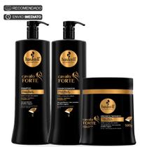 Kit Haskell Cavalo Forte Shampoo + Condicionador 1 Litro Máscara 500g