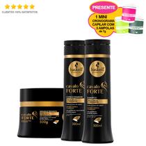 Kit Haskell Cavalo Forte Shampoo Condicionador E Máscara 300g - Haskell (Ganhe 1 Mini Cronograma)