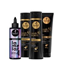 Kit Haskell Cavalo Forte Shampoo Condicionador Leave-in e Lamelar Máscara líquida (4 produtos) Kit Haskell Cavalo Forte Shampoo Condicionador Leave-in e Lamelar Máscara líquida (4 produtos)