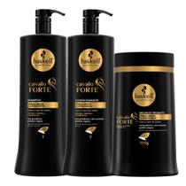 Kit Haskell Cavalo Forte Shampoo E Condicionador 1 Litro + Máscara 900g Kit Haskell Cavalo Forte Shampoo E Condicionador 1 Litro + Máscara 900g