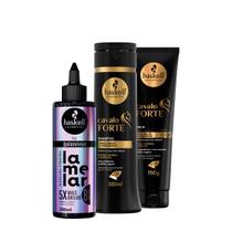 Kit Haskell Cavalo Forte Shampoo Leave-in e Lamelar Máscara líquida (3 produtos) Kit Haskell Cavalo Forte Shampoo Leave-in e Lamelar Máscara líquida (3 produtos)