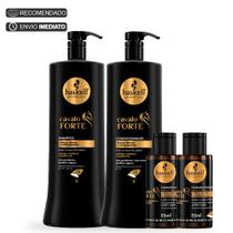 Kit Haskell Cavalo Forte Shp/cond 1 Litro + 2 Complexos