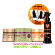 Kit Haskell Cronograma Cabelos Química 300g + Tônico Encorpa