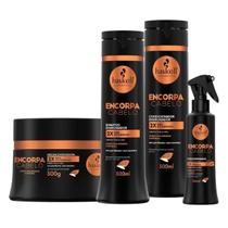 Kit Haskell Encorpa Cabelo Engrossador Cabelos Ralos Completo 4 Itens