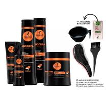 Kit Haskell Encorpa Fio Completo 500ml 5 Itens +Kit Presente