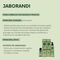 Kit Haskell Jaborandi Antiqueda Sh, Cond 500ml, Tônico 120ml Kit Haskell Jaborandi Antiqueda Sh, Cond 500ml, Tônico 120ml