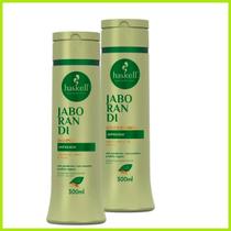 Kit haskell jaborandi antiqueda shampoo + condicionador 300ml
