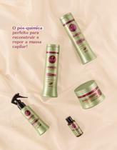 Kit Haskell Pós Química Bananeira Completo 05 Produtos Kit Haskell Pós Química Bananeira Completo 05 Produtos