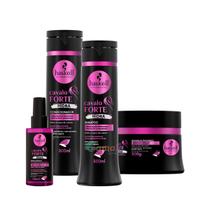 Kit Haskell Shamp cond másc sérum Cavalo Forte Hidra 300ml