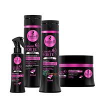 Kit Haskell Shamp condicionador e máscara fluido Cavalo Forte Hidra 300ml