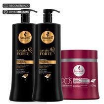 Kit Haskell Shampoo e Cond. Cavalo 1 Litro + Masc. Pós Prog. 500g Kit Haskell Shampoo e Cond. Cavalo 1 Litro + Masc. Pós Prog. 500g