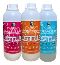 Kit Higienização Sofa Power trio Lotus Gs 1l All01, Tira, Pré