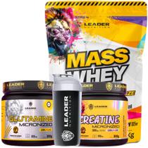 Kit Hipercalórico Mass Whey 3Kg + Glutamina Pura 300g + Creatina Pura 300g + Coqueteleira