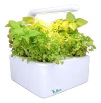 Kit Horta Inteligente E Sementes - Com Autoirrigação E Led