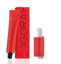 Kit Igora Royal Coloração Tinta Schwarzkopf + Ox 20 Vol 60ml