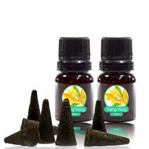 Kit Incenso Cone Carvão Vegetal 100gr + 20ml de essência importada (para aromatizador o ambiente) Kit Incenso Cone Carvão Vegetal 100gr + 20ml de essência importada (para aromatizador o ambiente)