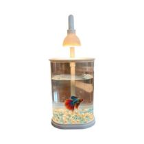 Kit Inicial De Aquário Mini Pequeno Com Luz Para Mesa De Sala De Estar, Aquário Para Tartarugas E