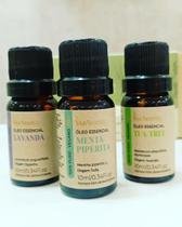 kit iniciantes 3 oleos essencias, lavanda, menta piperita, tea tree kit iniciantes 3 oleos essencias, lavanda, menta piperita, tea tree