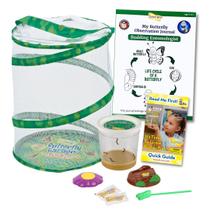 Kit Inseto Lore Butterfly Garden - Criando Borboletas com Lagartas Vivas