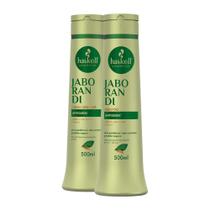 Kit Jaborandi Antiqueda Haskell Shampoo Condicionador 500Ml