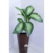 kit Jardinagem - Comigo Ninguém Pode kit Jardinagem - Comigo Ninguém Pode