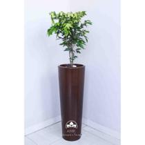 Kit Jardinagem - Jabuticaba Branca Kit Jardinagem - Jabuticaba Branca