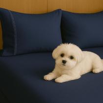 Kit Jogo De Lençol Queen 03 Peças 400 Fios Fronha Ponto Palito