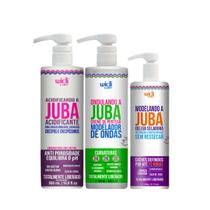 Kit Juba Acidificante 500ml + Cpp Ondas 500ml + Geleia Seladora 300ml