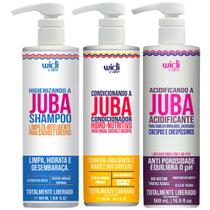 Kit Juba Shampoo + Condicionador + Acidificante Capilar Tratamento Completo Vegano Widi Care