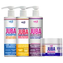 Kit Juba Shampoo + Condicionador + Acidificante + Mascara Nutrição Capilar Vegano Widi Care Kit Juba Shampoo + Condicionador + Acidificante + Mascara Nutrição Capilar Vegano Widi Care