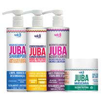 Kit Juba Shampoo + Condicionador + Acidificante + Mascara Reconstrução Capilar Vegano Widi Care