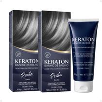Kit Kert Keraton: 2 Tonalizantes Banho de Brilho Vegan Prata Cendré 100g Kit Kert Keraton: 2 Tonalizantes Banho de Brilho Vegan Prata Cendré 100g