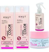 Kit Knut Amino Color Para Cabelos Coloridos Com Spray 4ítens