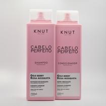 Kit Knut Cabelo Perfeito Tratamento Rosa Mosqueta Shampoo 750ml Condicionador 550ml