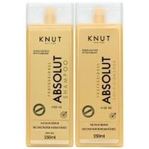 Kit Knut Tratamento Absolut Shampoo Sem Sal 300ml Condicionador Leave-In 300ml Kit Knut Tratamento Absolut Shampoo Sem Sal 300ml Condicionador Leave-In 300ml