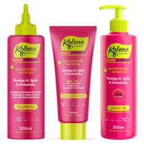 Kit Kolene Danos Extremos Shampoo + Óleo em Creme + Leave-in