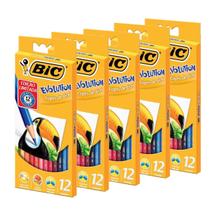 Kit Lápis De Cor 12 Cores Bic Evolution Resistente Sextavado 5 Caixas
