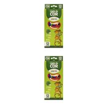 Kit Lápis de Cor 12 Cores Sextavado Flex Ecológico LEO&LEO 4220 material escolar atacado