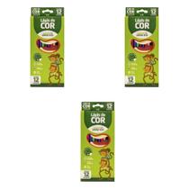 Kit Lápis de Cor 12 Cores Sextavado Flex Ecológico LEO&LEO 4220 material escolar atacado