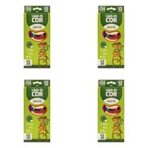 Kit Lápis de Cor 12 Cores Sextavado Flex Ecológico LEO&LEO 4220 material escolar atacado