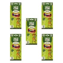 Kit Lápis de Cor 12 Cores Sextavado Flex Ecológico LEO&LEO 4220 material escolar atacado