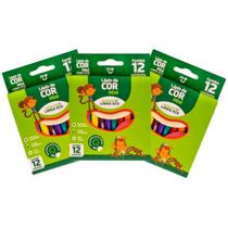 Kit Lápis de Cor Colorido 5 Unidades Linha Eco 12 Cores