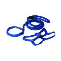 Kit Le Patin Coleira, Peitoral e Guia Azul para Cães - Tamanho XG Kit Le Patin Coleira, Peitoral e Guia Azul para Cães - Tamanho XG
