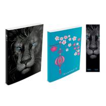 Kit Leão Grafite - Bíblia Brochura NTLH + Devocional II Capa Azul Claro + Marca Página - BOOK7