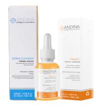 Kit Limpeza e Hidratação Facial 1 Mousse Thermal 1 Vitamina C Andina