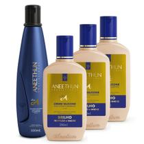 Kit Linha A Shampoo + 3 Cremes de Silicone Aneethun 250ml