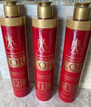 Kit linha proteção da cor PARIS 300ml Kit linha proteção da cor PARIS 300ml