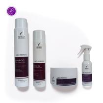 Kit Liso Perfeito: Hidratação Intensa e Liso Impecável Max Shed Professional