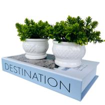 Kit livro decorativo porta objetos e dupla vaso cor branca - Dünne It